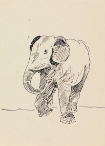 Edward Hopper - (Study of an Elephant), 1895–1899