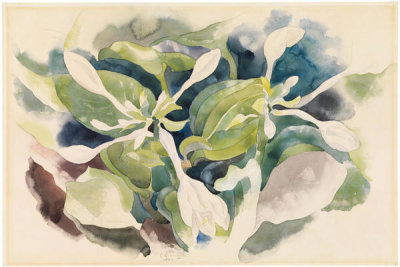 Charles Demuth - August Lilies, 1921